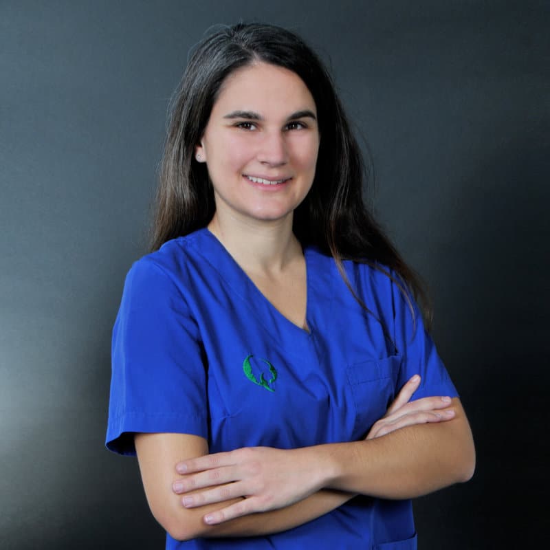 Ιατρική Ομάδα Ιατρική Ομάδα